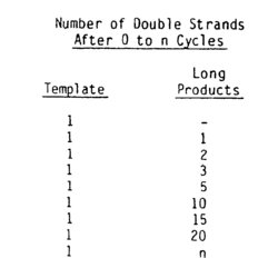 Eminent Indicate The Sequence Of Template Strand Flyer Solved Following