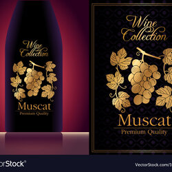 Splendid Wine Label Template Royalty Free Vector Image