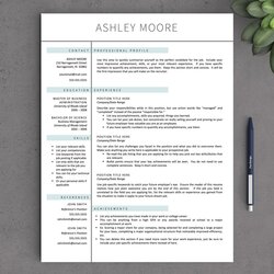 The Highest Quality Free Apple Pages Resume Templates