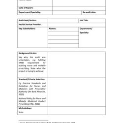 Worthy Free Audit Report Templates Internal Reports Template