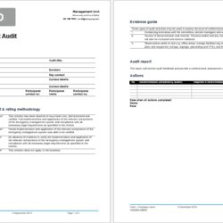 Exceptional Professional Audit Report Templates For Ms Word Excel Template Sample