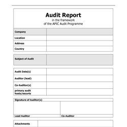 Out Of This World Free Audit Report Templates Internal Reports Template Examples