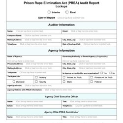 Swell Free Audit Report Templates Internal Reports Template