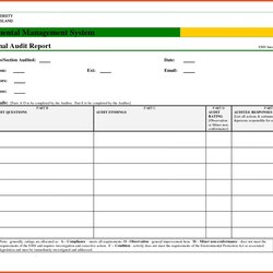 Legit Internal Audit Report Template Templates Resume Examples