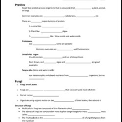 Smashing Guided Notes Strategies For Students Template Through Orig