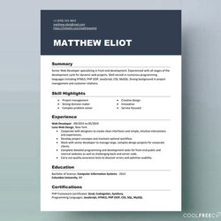 Superb Sample Resume Format Free Samples Examples Word Formats Template It