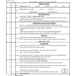 Very Good Free Mental Status Exam Templates Examples Template
