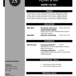Great Creative Resume Templates Grey Template Black And