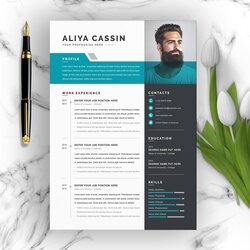 Swell Creative Professional Resume Templates