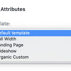 Using Page Templates Block Themes And Plugins Attributes
