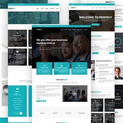Magnificent Perfect Corporate Theme Themes