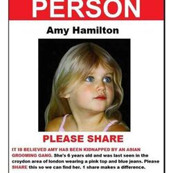 Champion Missing Person Poster Templates Excel Formats Amy Hamilton Posters Template Child Persons Social