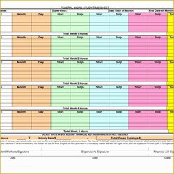 Peerless Free Time Study Template Excel Download Of Management Worksheets Templates