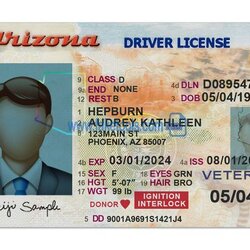 Superlative Pin On Drivers License Fake Editable