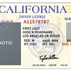 Super Fake Id Template Sample Business Excel Word Drivers Ids Free