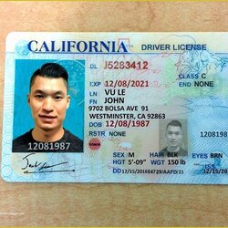 Peerless Free Fake Id Templates Online Of Printable Licenses And Cards Template License Driver Card