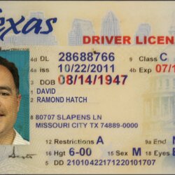 Id Card Template Awesome The Latest On Whats Really Happening License Ids Blank Permit Issued Elections