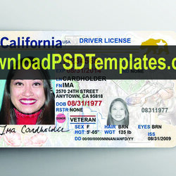 Cool Fake Id Templates Generator Free Card Maker Online Download Drivers