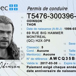 Great Fake Ids Template Word Id Card Business Thor