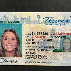 Spiffing Fake Id Templates