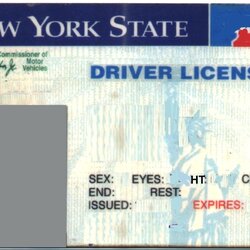 Outstanding Fake Drivers License Template Free Printable Templates State Texas Driver Michigan Sniffer Sample