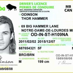 The Highest Standard Free Fake Id Templates Online Of Printable Licenses And Cards License Drivers Driver