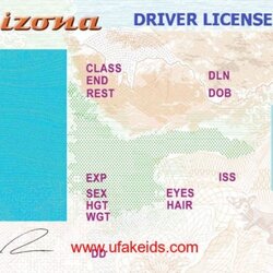 Superior Fake Id Template Sample Business Excel Word Stayed Example Design