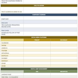Wizard Free Social Media Templates Template Campaign Excel
