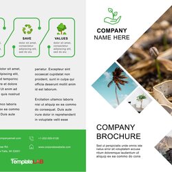 Free Brochure Templates Word Template