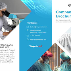 Free Brochure Templates Word For Engineering
