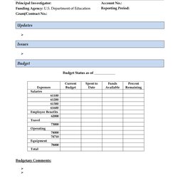 Tremendous Project Status Report Templates Word Excel Template Monthly Daily Simple Kb