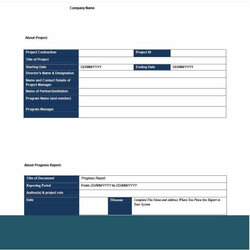 Capital Status Report Template Project Templates Word Excel Inside Site Progress