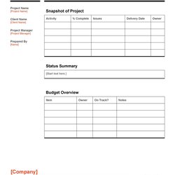 Champion Project Status Report Templates Word Excel Template Kb