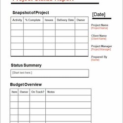 Status Report Templates Excel Formats Template Project Sample Task