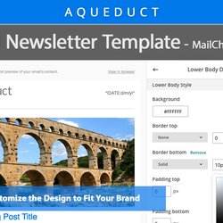 Worthy Email Newsletter Template Templates Creative Market