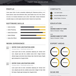 Cool Modern Resume Word Template Ms Classic