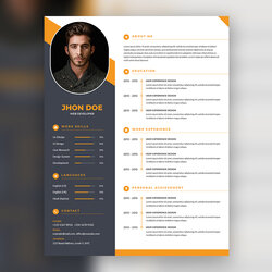 Admirable Resume Template Modern For Your Needs Preview