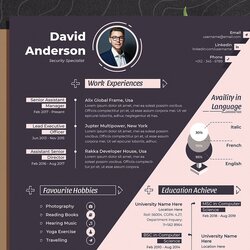 Template Modern Resume Prof Word Apple Pages Original