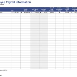 Superior Payroll Template Free Employee For Excel Templates Report Summary Form Information Access Format