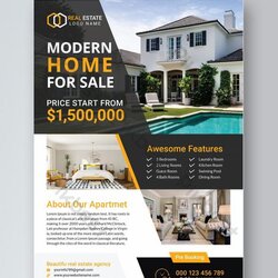 Brilliant Creative Real Estate Flyer Template Free Download