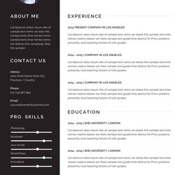 Fantastic Resume Template Download For Word Scaled