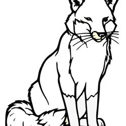 Cool Fox Template Animal Templates Free Premium Drawing Print Cute