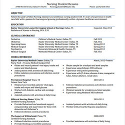 Free Sample Nursing Resume Templates In Ms Word Examples Template