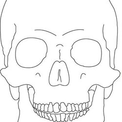 Very Good Skull Outline Only By Vicious Masks Outlines Tattoo Traceable Drawing Template Simple Drawings