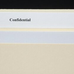 Buy Blank File Folder Labels Cabinet Printable On Laser Label Sheet Per Size Printing Manila Avery Same