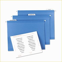 File Folder Tabs Template Free Of Avery Hanging Labels Templates Label Inserts Word Printable Folders Data