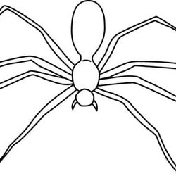 Matchless Printable Spider Template