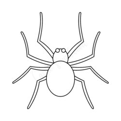 Wonderful Free Printable Spider Templates Cassie Blank Basic Template
