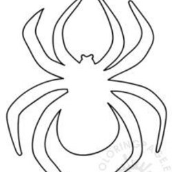 Spider Cut Out Template Coloring Page