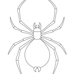 Brilliant Spider Shape Template Crafts Colouring Pages Free Premium Insects
